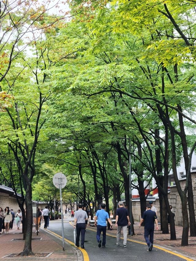 함께 걸으면 없던 로맨스도 생긴다는 덕수궁 돌담길🚶🏻‍♀️🚶