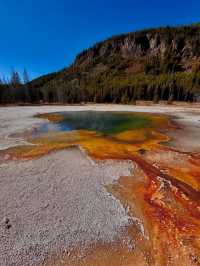 Yellowstone: Where nature Are Your New Best Friends 