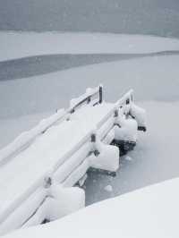 The Landwasser Viaduct: A Winter Marvel in Switzerland