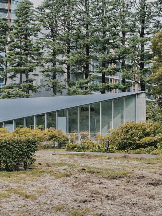 景點推薦：21_21 Design Sight——探索東京的現代設計美學