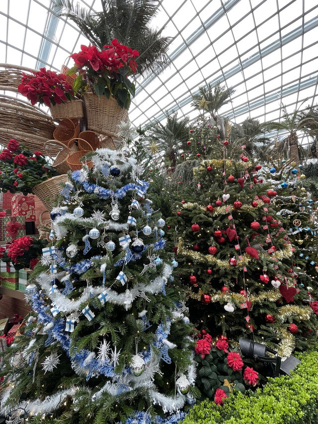 🎅🏻 Let’s hop onto the Christmas train now ! 🚂