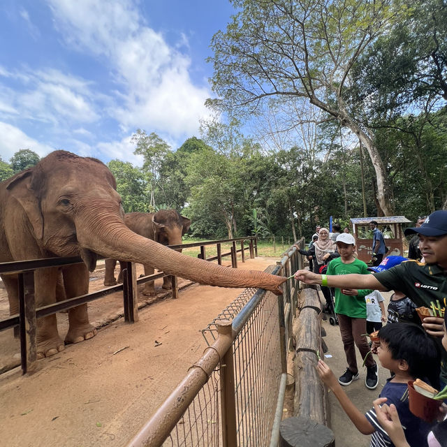 Zoo Melaka : A Captivating Wildlife Adventure