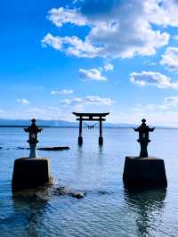 【熊本県:天草】幻想的な姿が美しい永尾剱神社