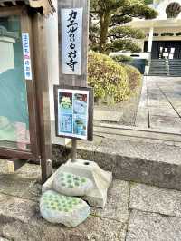 ［日本北陸旅行］郡上八幡城下町-日本小秘境🌊