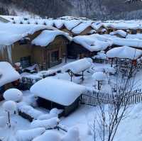 China snow town,harbin 🇨🇳
