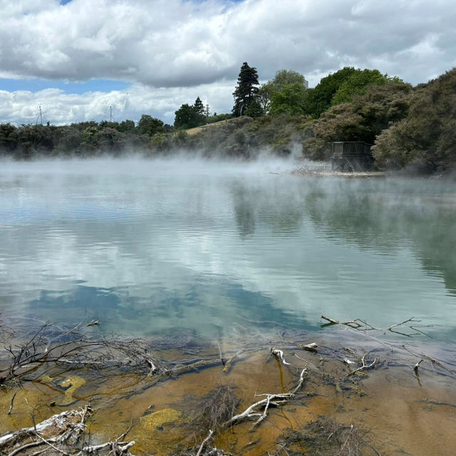 Steaming into Paradise: Unwinding at Mauri Te Puia