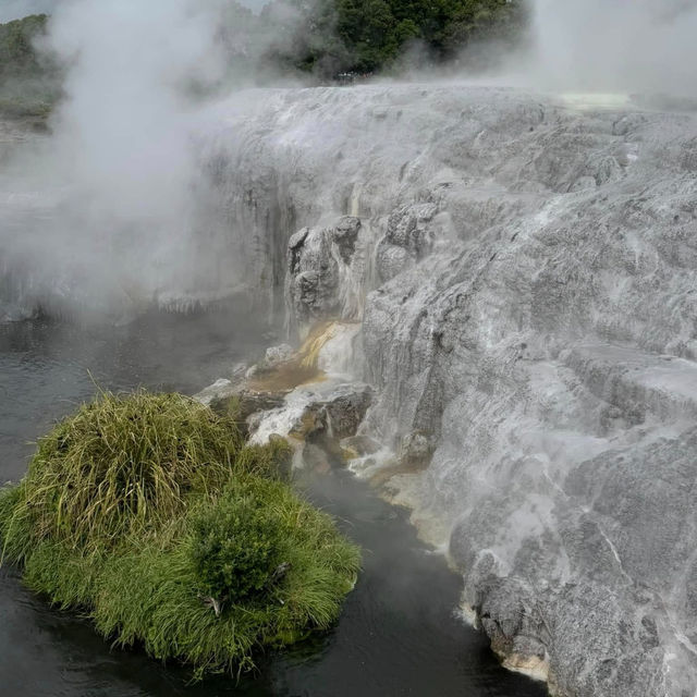 Steaming into Paradise: Unwinding at Mauri Te Puia