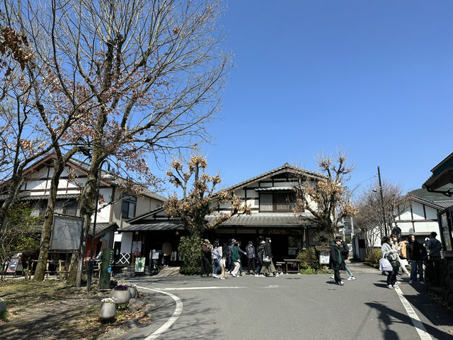 由布院是感受寧靜和傳統日本的首選🥹🌸