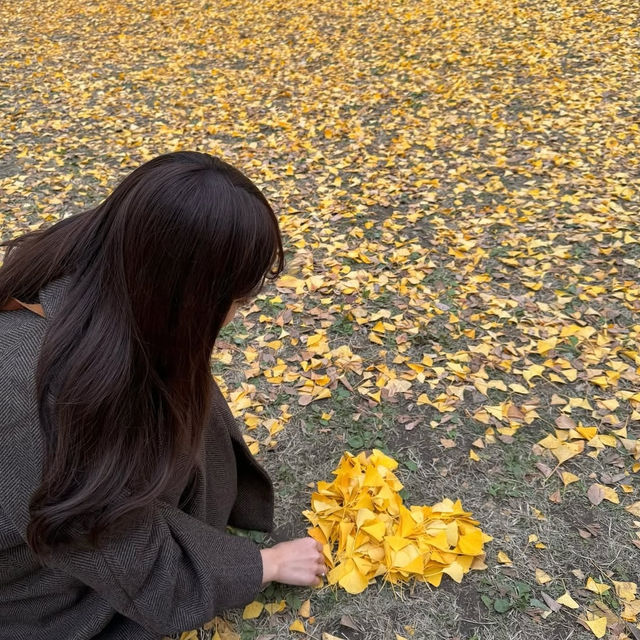 【京都】おすすめの紅葉スポット