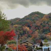 秋天的京都 被紅葉包圍的每一天