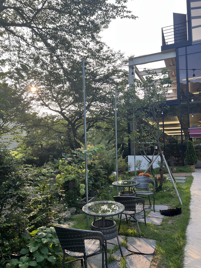 คาเฟ่ปูซาน Woody brook