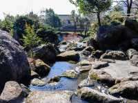 【鹿児島県】 雄大な桜島を一望できる借景庭園『仙巌園』