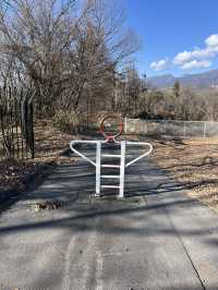 【小諸市🇯🇵】大型遊具で1日遊べる！とにかく広い大型公園🏞
