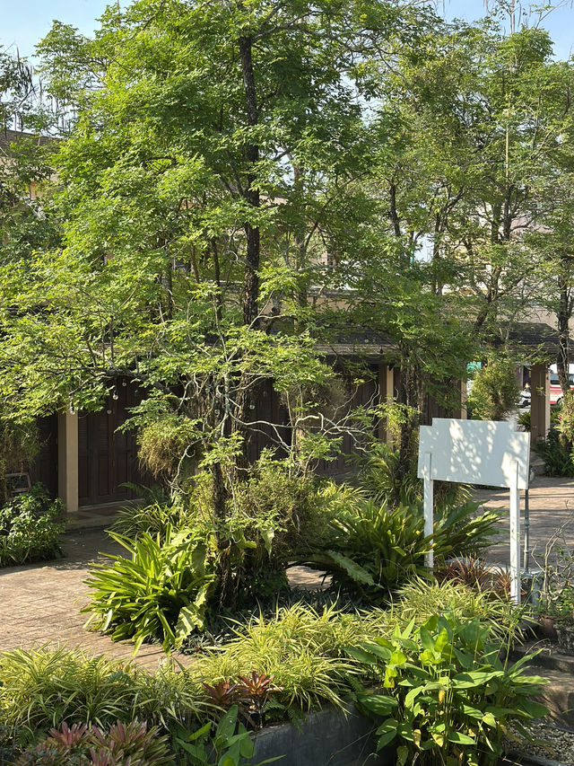 แวะชมบ้านท่านขุนอายุ 100 ปี ในตัวเมืองคอน 