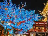 🇨🇳 เทศกาลโคมไฟสวนอวี้หยวน 🏮#เซี่ยงไฮ้