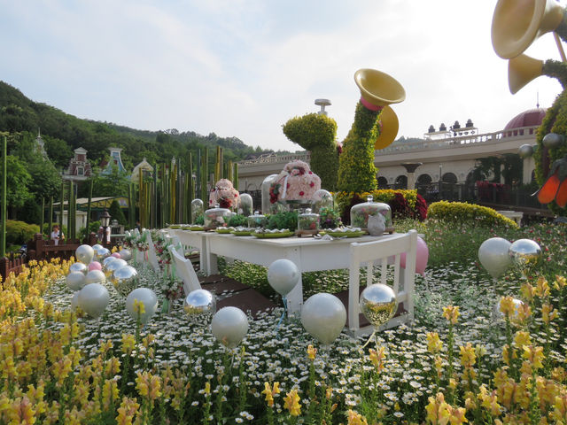 🇰🇷 首爾超美打卡樂園！