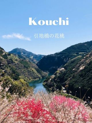 【山中桃花源】