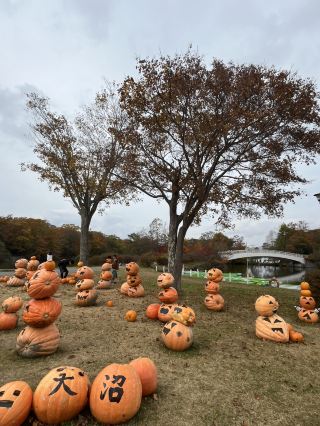 大沼國定公園賞楓
