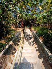 香港郊遊：大嶼山大陰頂(試新路)