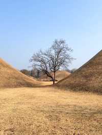 경주 뚜벅이 1박2일 여행코스