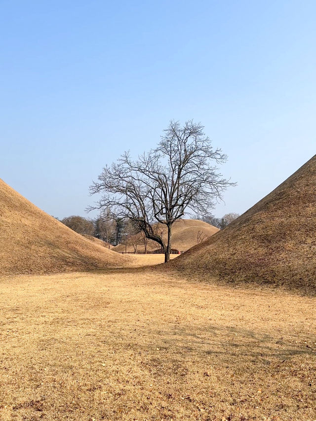 경주 뚜벅이 1박2일 여행코스