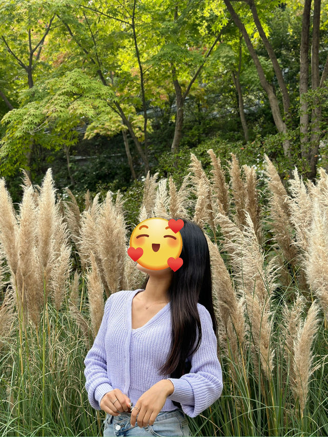 데이트하기 좋은 장소 추천