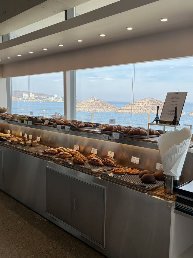 창문 넘어 탁 트인 바다뷰를 볼 수 있는 경주 오션뷰 카페 창문 넘어 탁 트인 바다뷰를 볼 수 있는 경주 오션뷰 카페