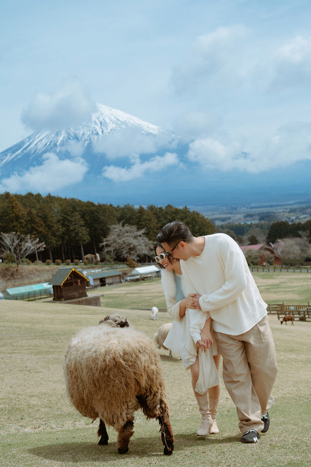 A Day at Makaino Farm – Fujinomiya, Shizuoka