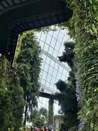 🌿✨ 新加坡必訪夢幻花園——濱海灣花園 ✨🌿