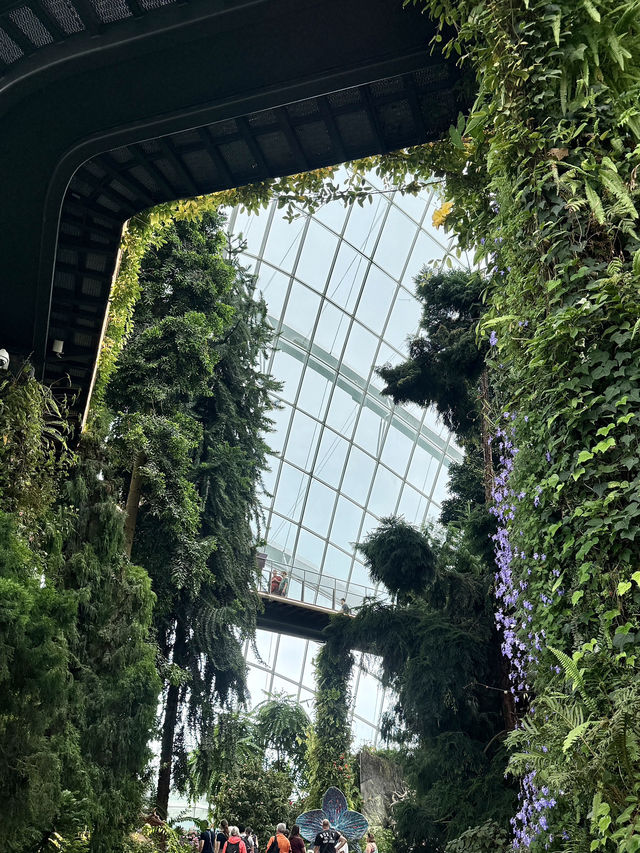 🌿✨ 新加坡必訪夢幻花園——濱海灣花園 ✨🌿