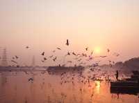 Tranquil Birdwatching Experience at Yamuna Ghat
