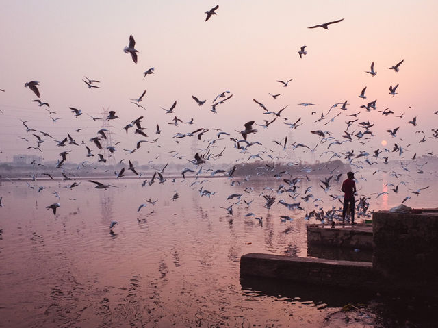 Tranquil Birdwatching Experience at Yamuna Ghat