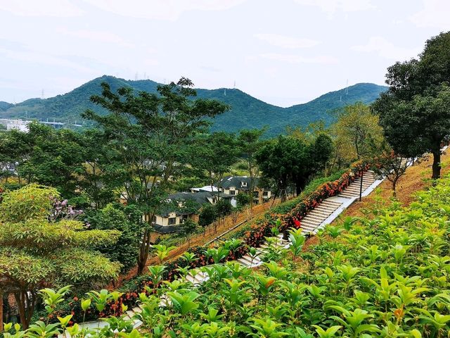 玉龍公園