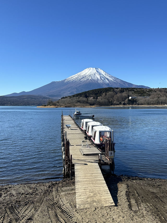 山中湖🇯🇵單車遊湖賞富士山🗻