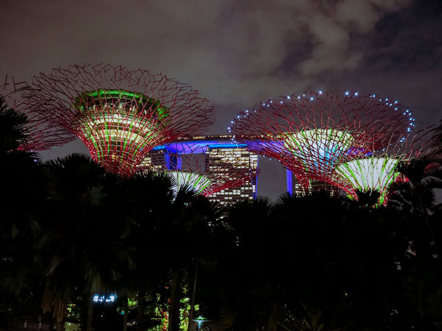 Gardens by the Bay 🌿✨🇸🇬