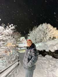 Hida folk village