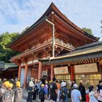 日本奈良春日大社，神明與小鹿的約會