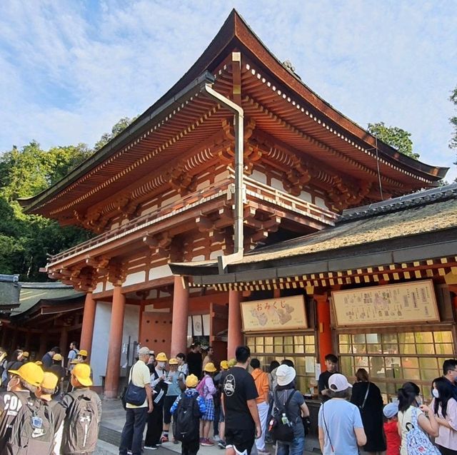 日本奈良春日大社，神明與小鹿的約會
