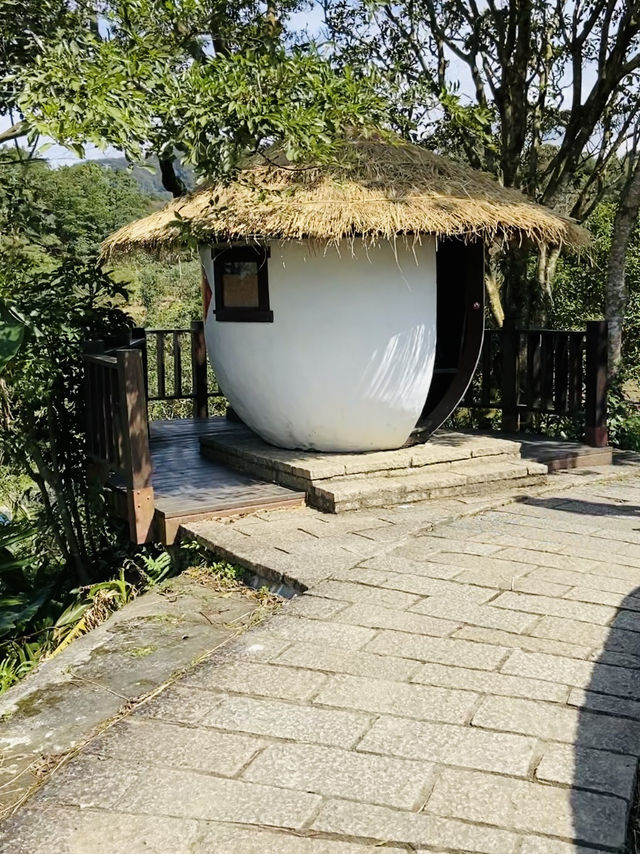台北縱走第七段-櫻花山林茶鄉漫遊路線