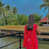 🌅 Awesome Views of Alleppey – A Picture-Perfect Paradise! 🚤🌴