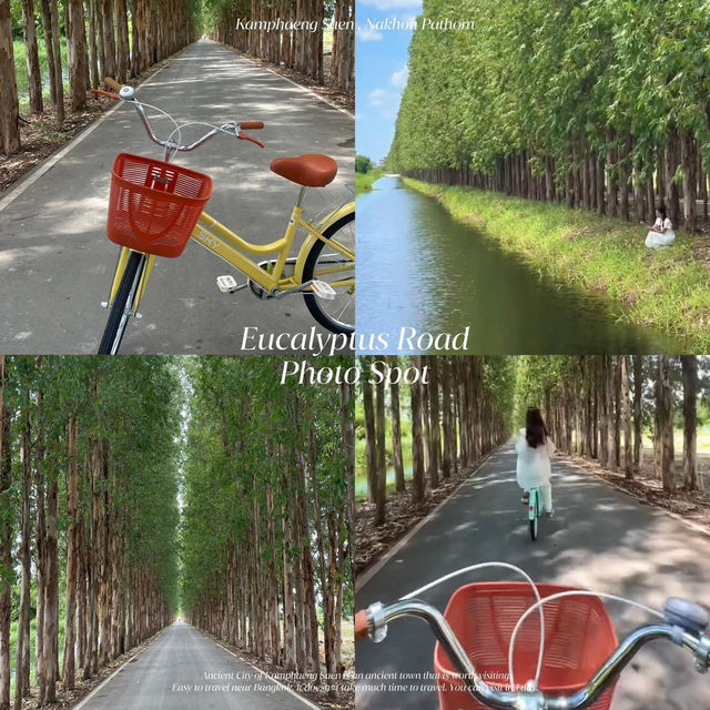 13 ที่เที่ยว #กำแพงแสน #นครปฐม 🚲🤍🌸