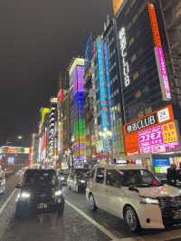 東京5日4夜行程