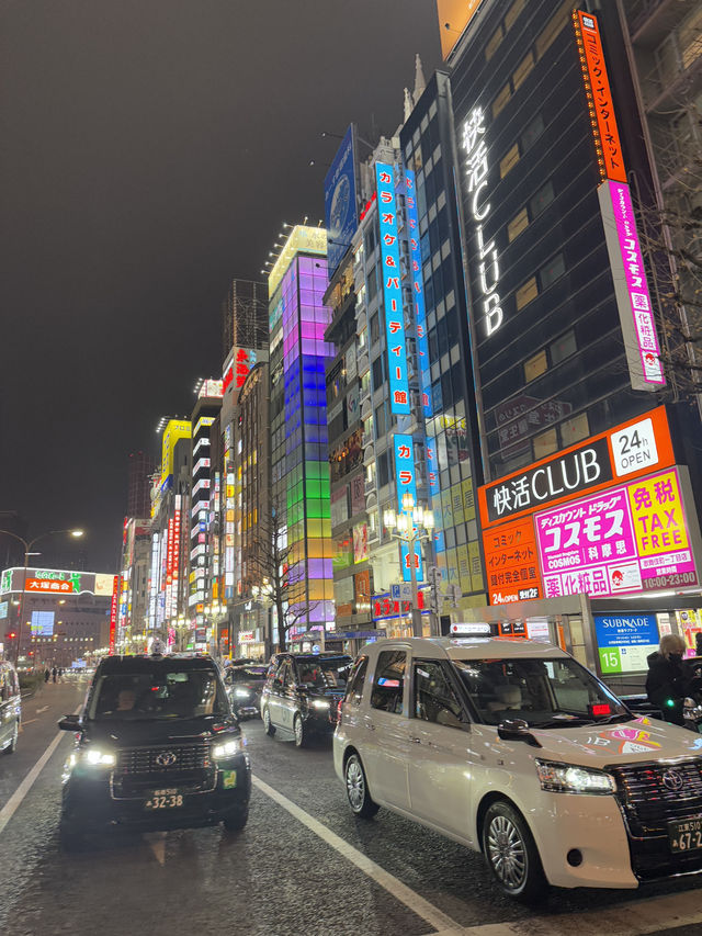 東京5日4夜行程