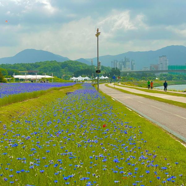 남양주 1박2일 여행코스 이걸로 종결‼️