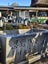 池水極清澈乾淨的忍野八海