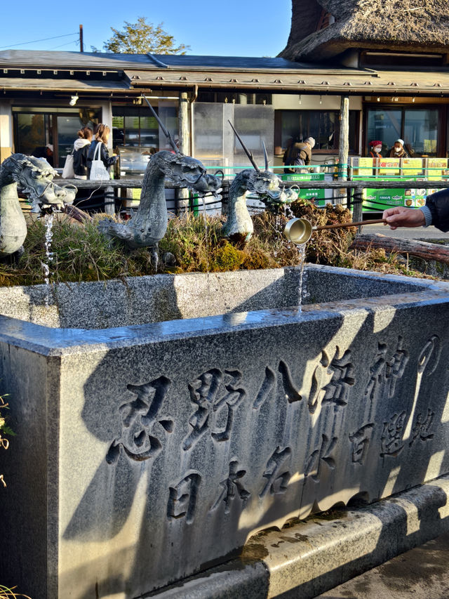 池水極清澈乾淨的忍野八海