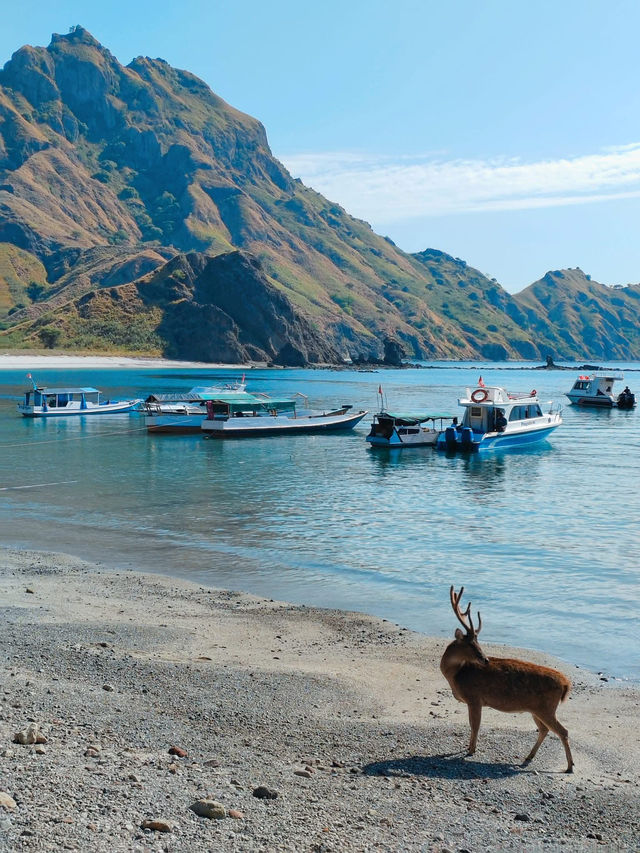 Iconic Beautiful Natural Hidden Gem @ Labuan Bajo