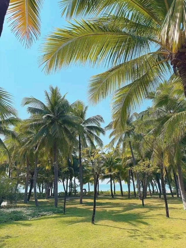 📍View from hotel