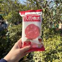 香港ディズニーランド・リゾート全攻略