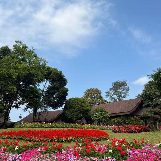 ～微微閃耀～查勒拉花園～